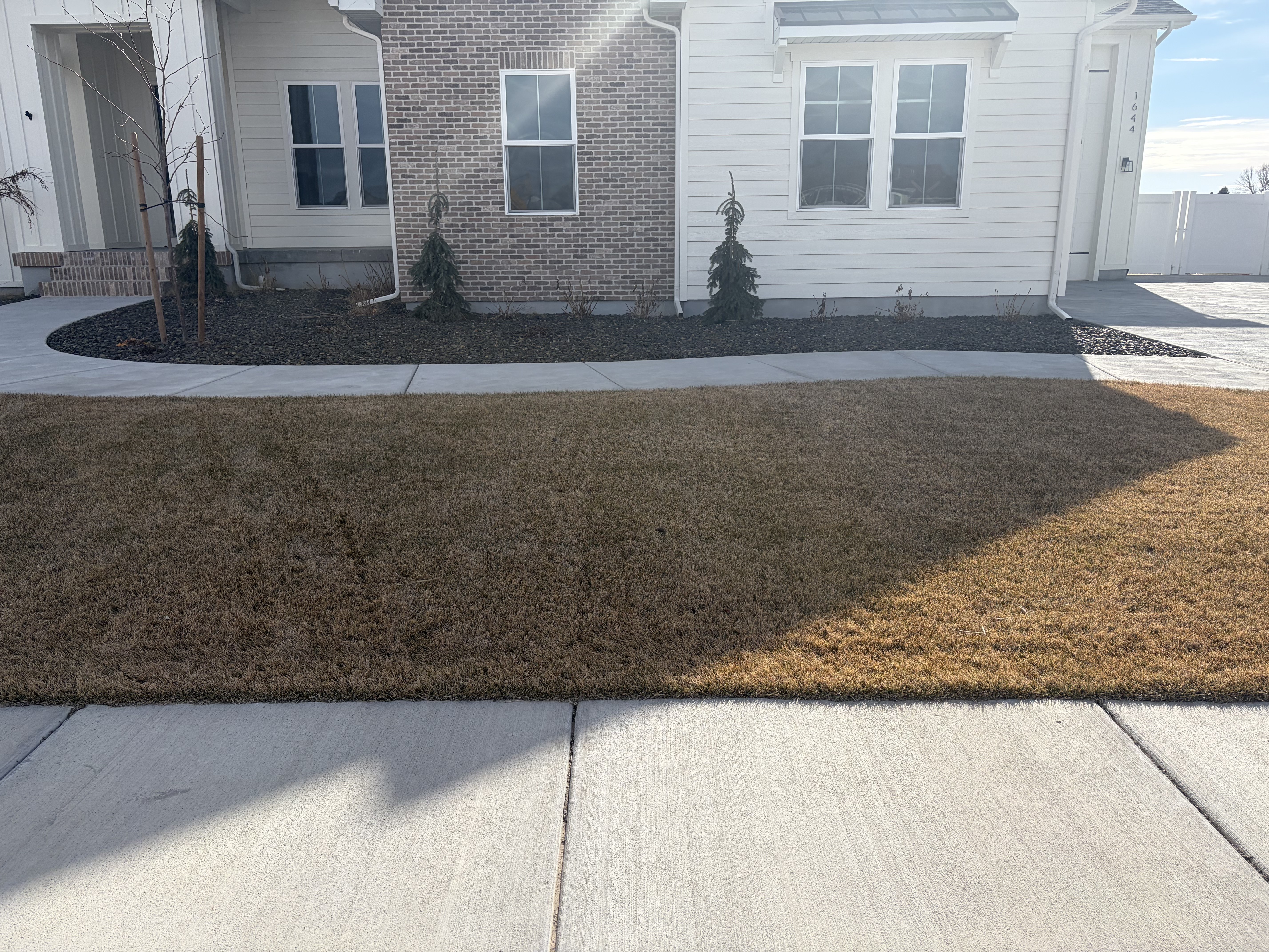 Placeholder project image 3