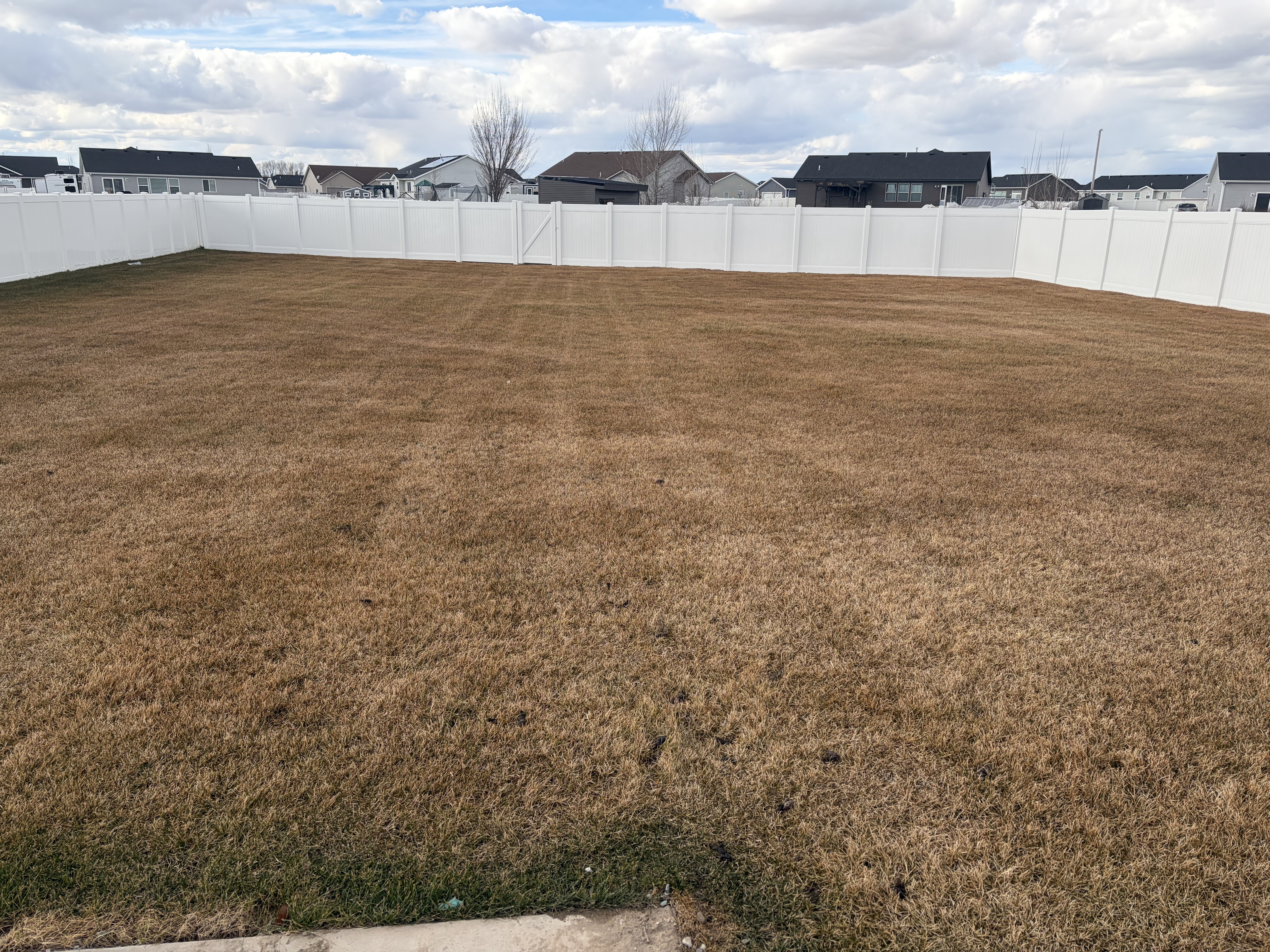 Placeholder project image 4